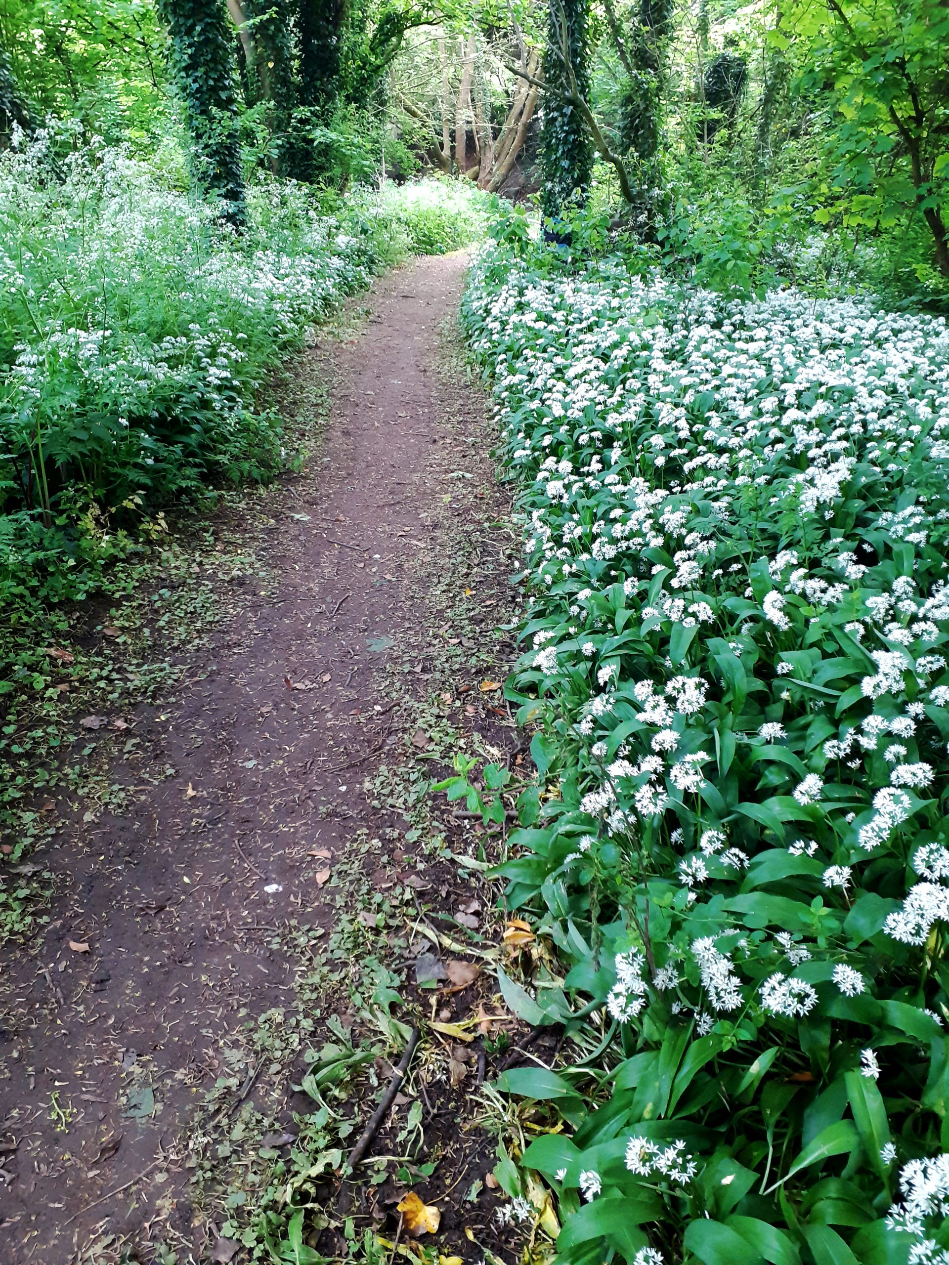 green walkway