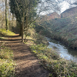 path through trees next to a river